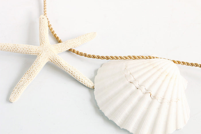 貝がら シェル 飾り