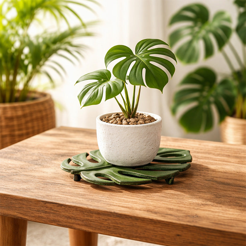 木製テーブルの上でモンステラ型のアイアンプランタースタンドに小さな観葉植物の鉢が置かれているナチュラルな南国風空間