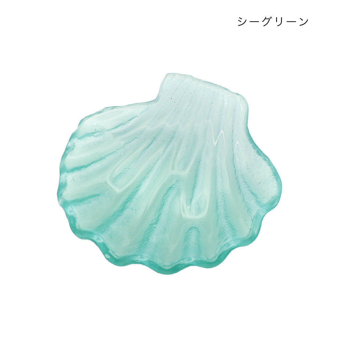 貝殻 お皿