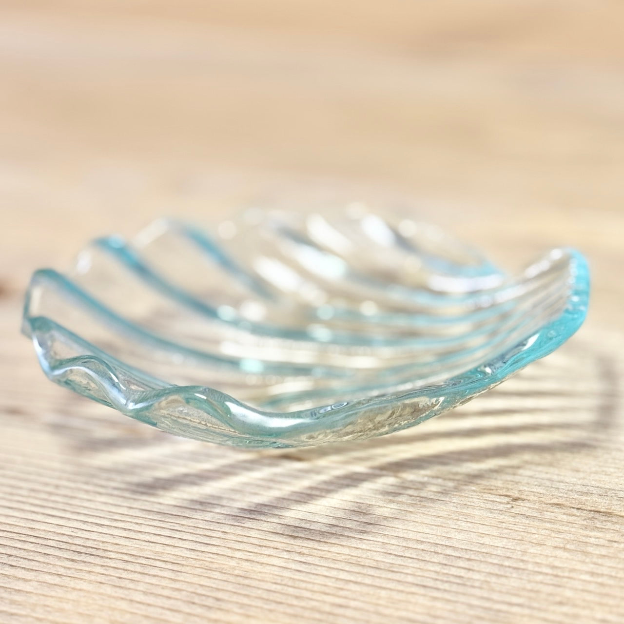 クリアガラス 貝殻