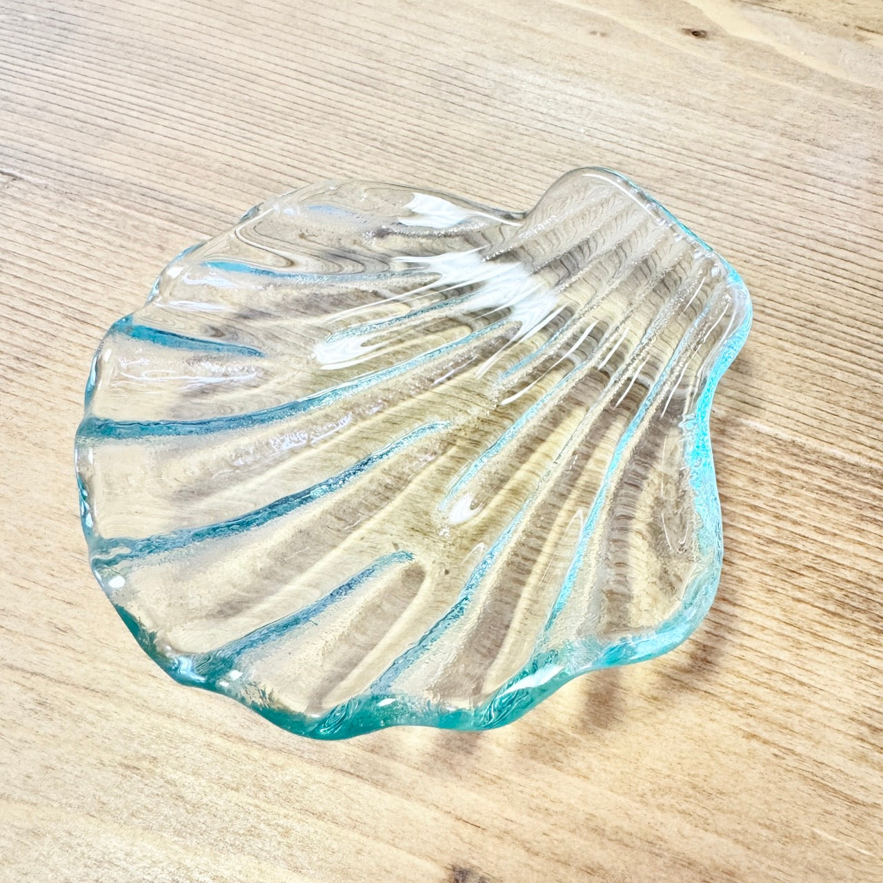 貝殻 透明ガラス 皿