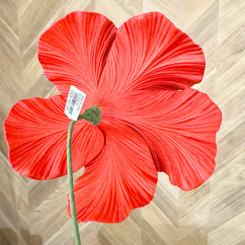 赤い花 情熱的な赤 ハイビスカス