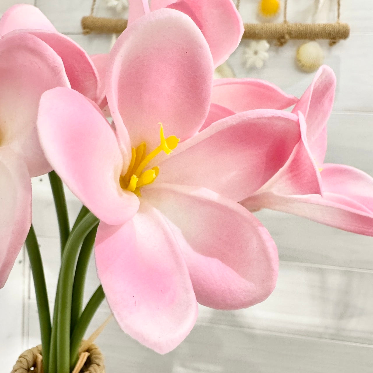 本物そっくり 造花 プルメリア