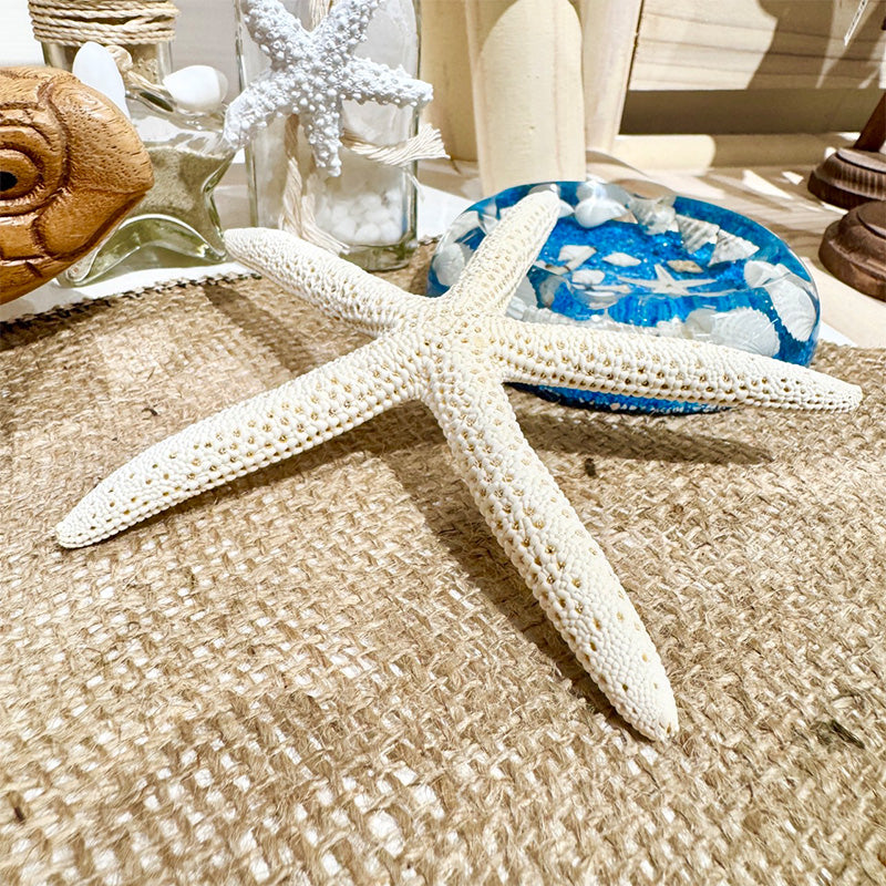 ひとでの置物 インテリア