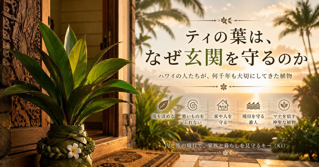 ティの葉とは？