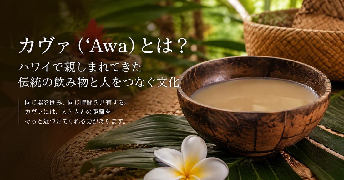 ハワイの文化紹介 カヴァとは