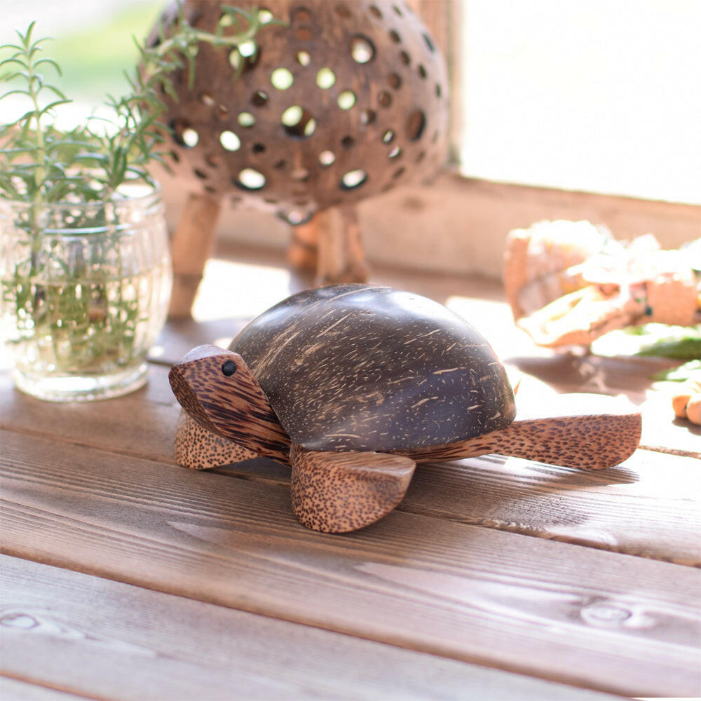 COCONUTS TORTOISE　TRAY