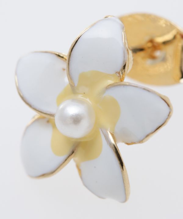 はわいハワイの花 きれいな花