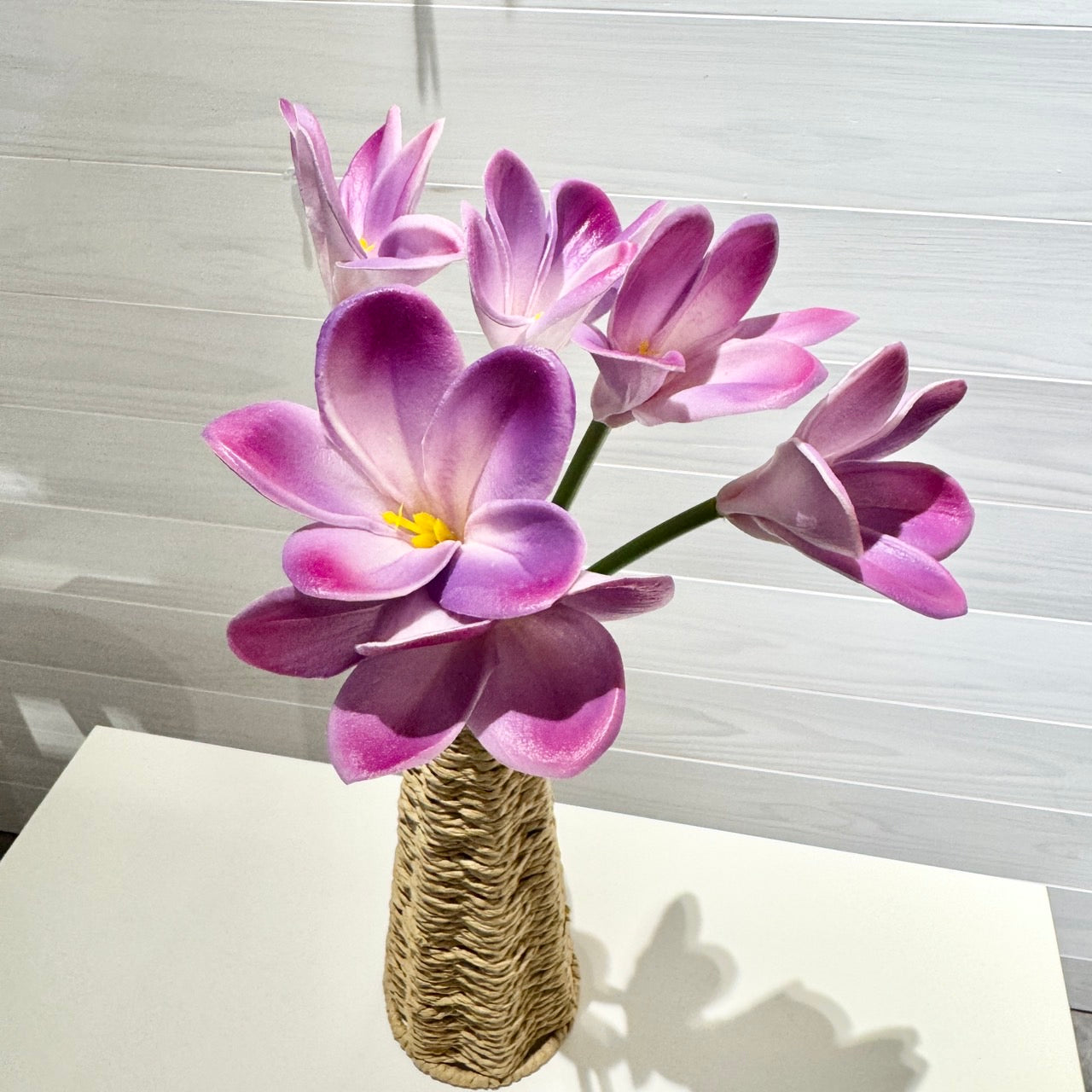 プルメリア花びら 造花
