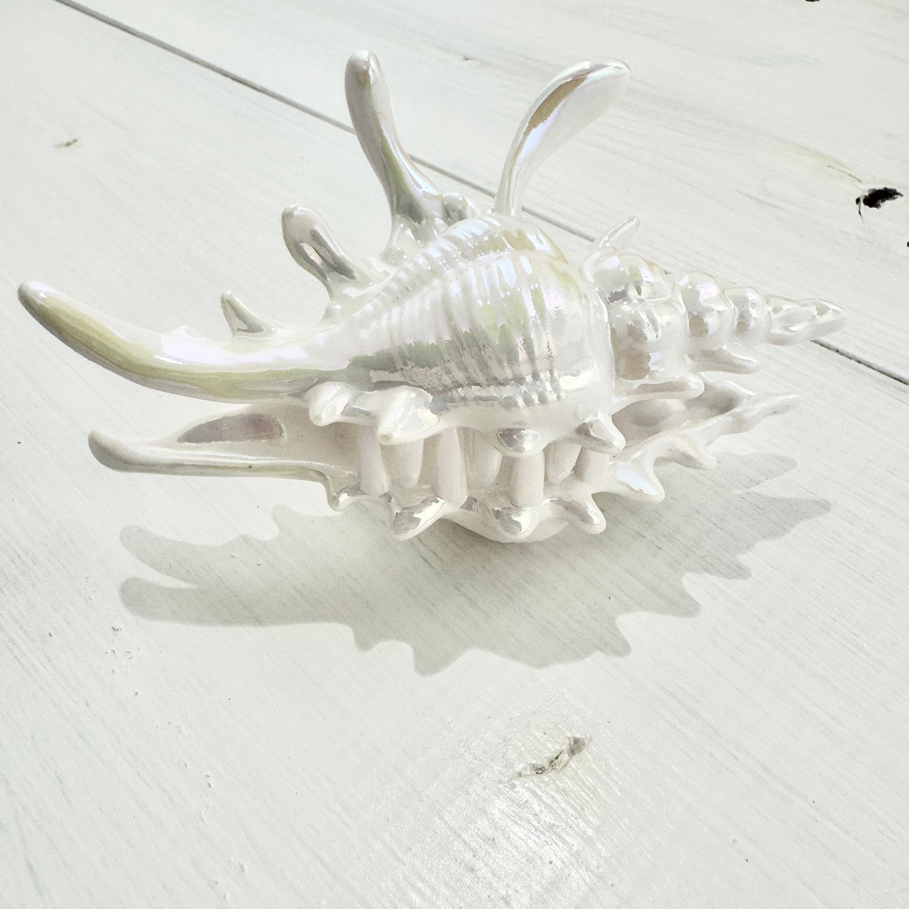 貝殻の髪留め アクセサリー