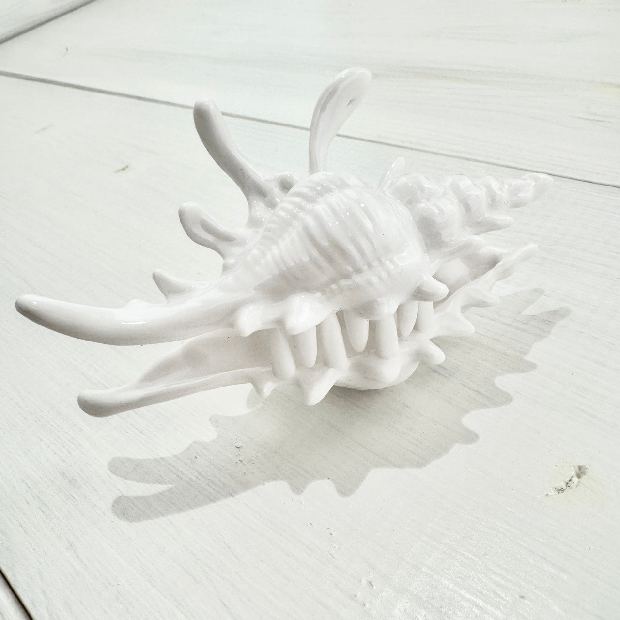 シェル フラダンサー 髪留め