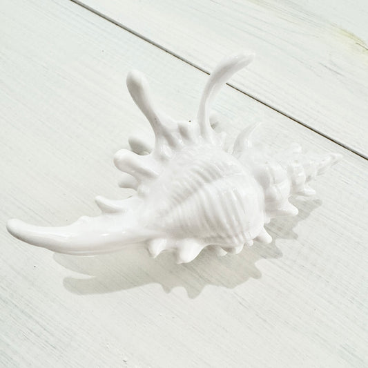 貝殻のデザインバレッタ 髪留め