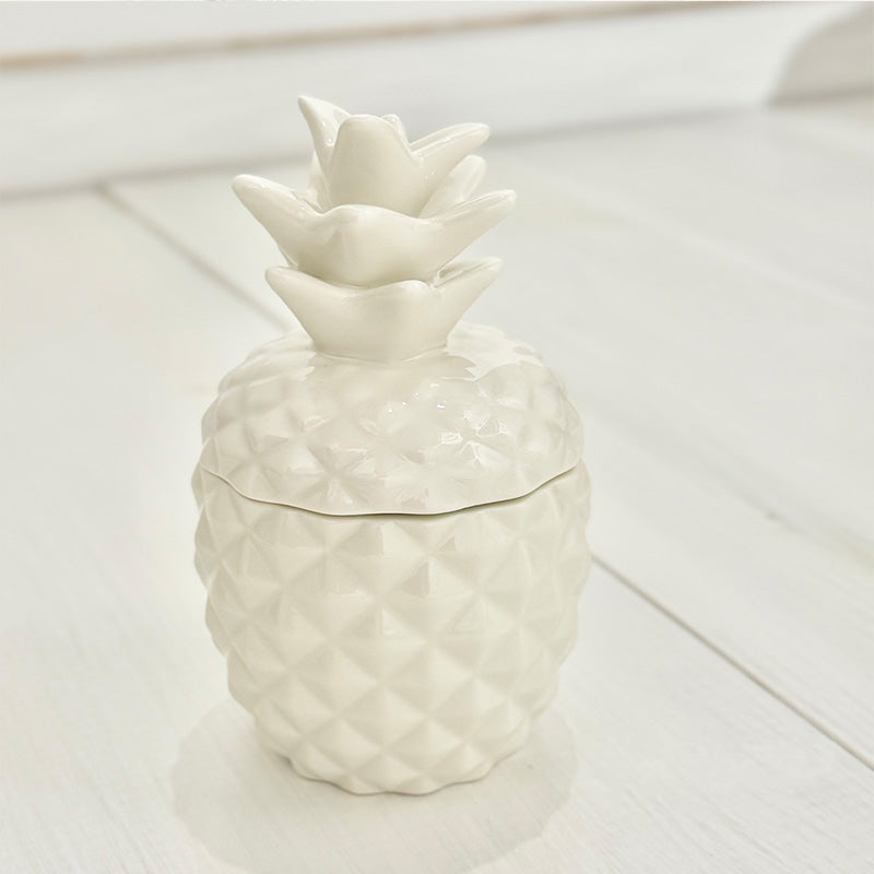 キャニスター パイナップル