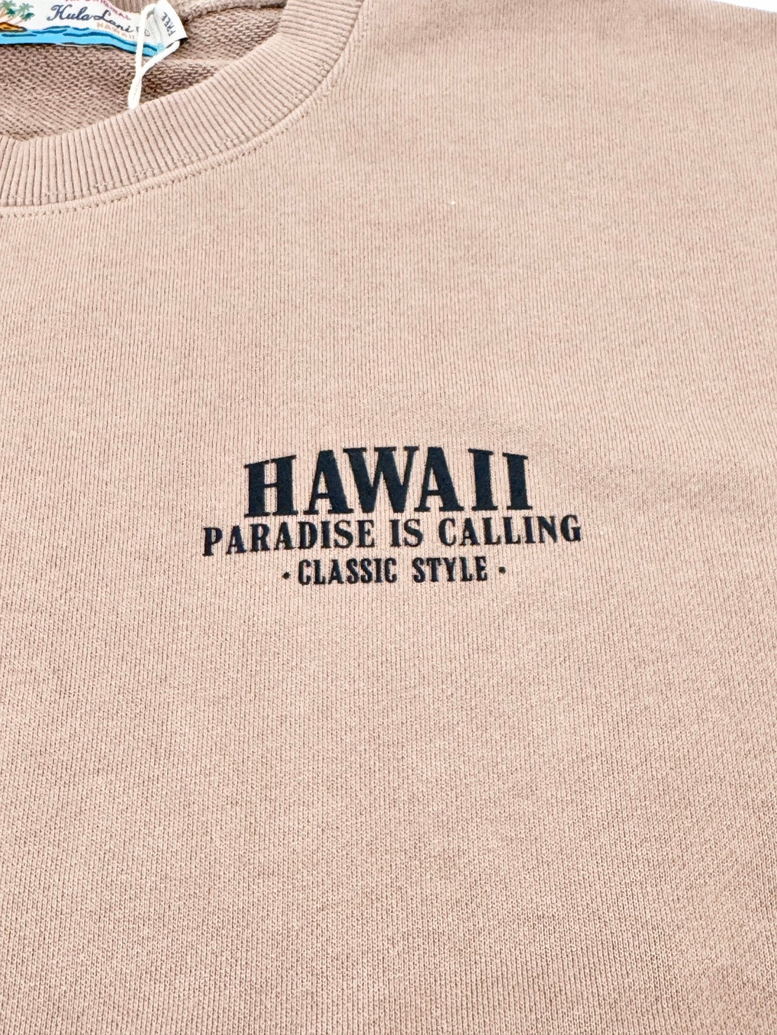 長袖ワンピーストレーナー レディーススウェット ハワイアン